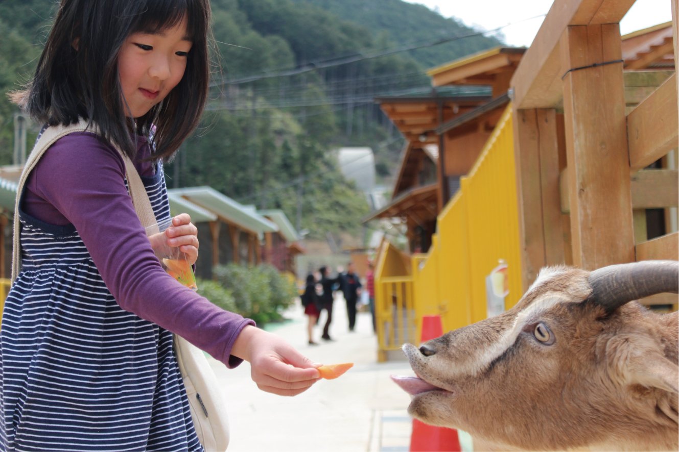 🦁 오우치야마 동물원 (오우치야마 도부츠엔) 이미지 7